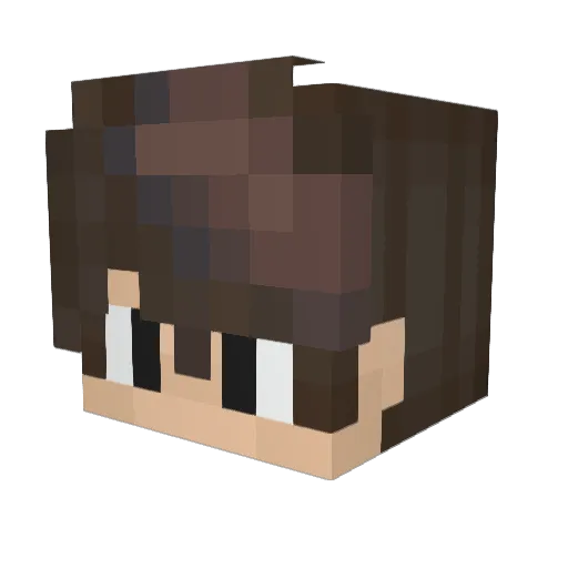 SIMONROBO344 Minecraft avatar head, 3D render