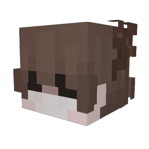 SIMP4AVEIA Minecraft avatar head, 3D render