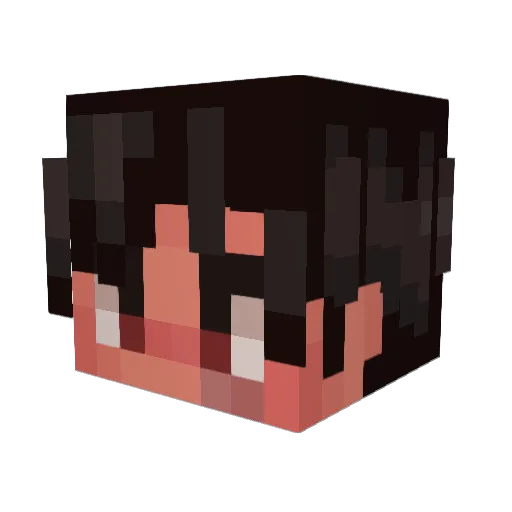 SIMPLORD5 Minecraft avatar head, 3D render