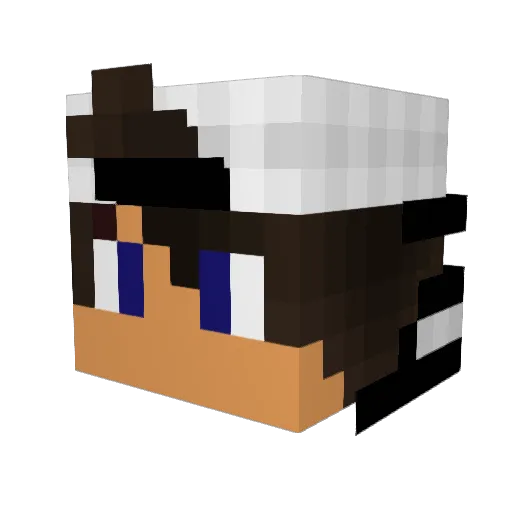 SINA_0564 Minecraft avatar head, 3D render
