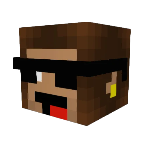 SINSIN1118 Minecraft avatar head, 3D render