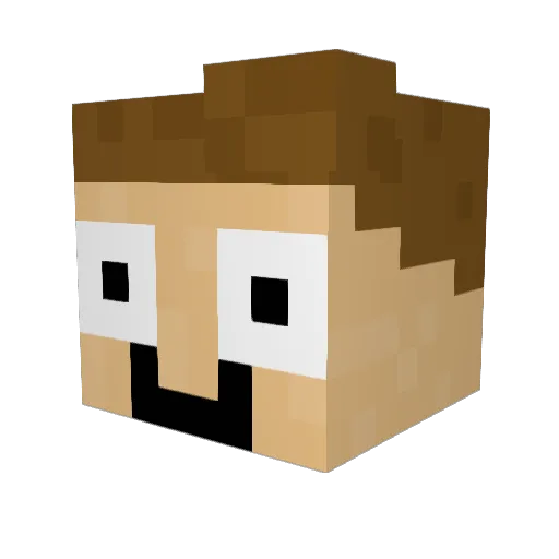 SIN____ Minecraft avatar head, 3D render