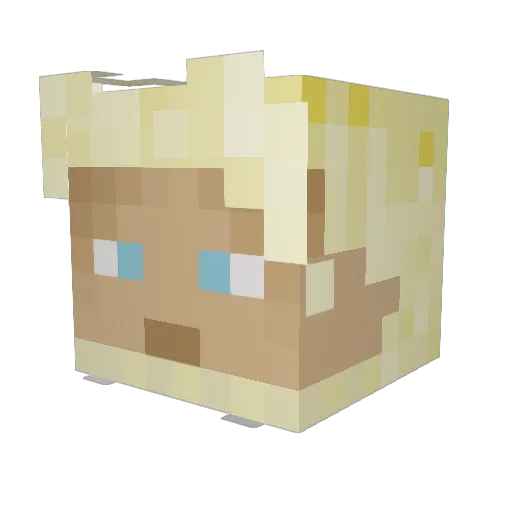 SIR_DAGS Minecraft avatar head, 3D render