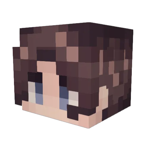 SIR_LANC3 Minecraft avatar head, 3D render