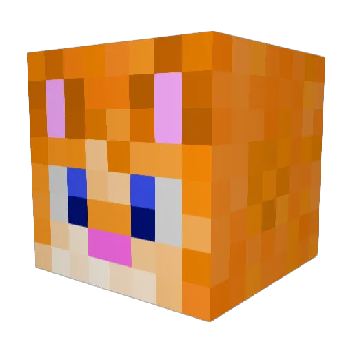 SIRcat2014 Minecraft avatar head, 3D render
