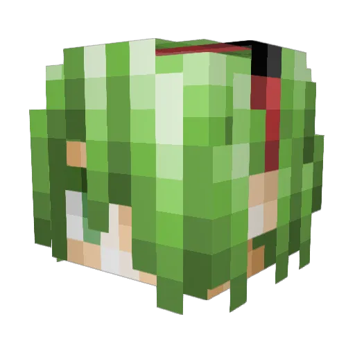 SITLubbock Minecraft avatar head, 3D render