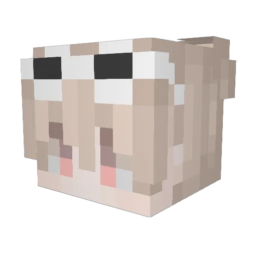 SIWOOGI Minecraft avatar head, 3D render