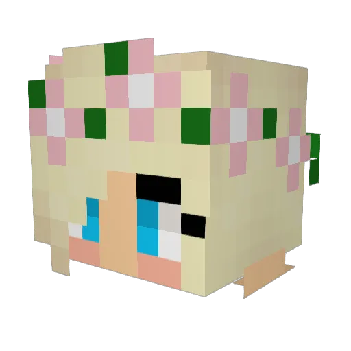 SIZZLELIKEBACON Minecraft avatar head, 3D render