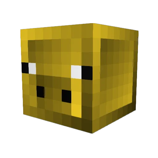 SI_field Minecraft avatar head, 3D render