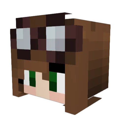 SIlverFang2929 Minecraft avatar head, 3D render