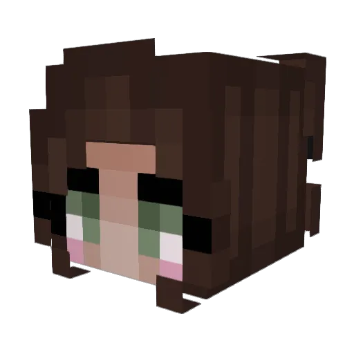 SJ019X Minecraft avatar head, 3D render
