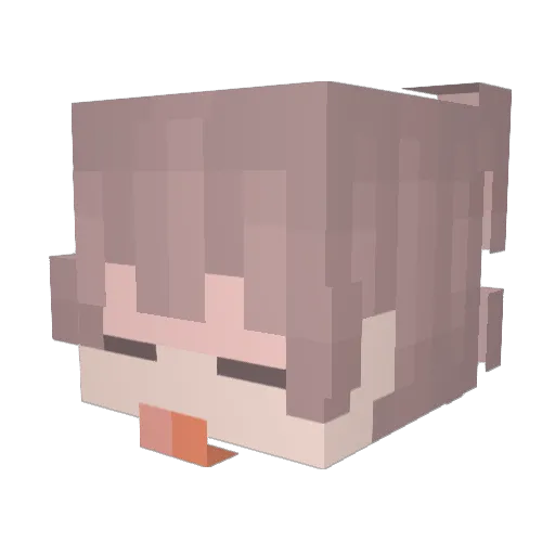 SJ1014 Minecraft avatar head, 3D render