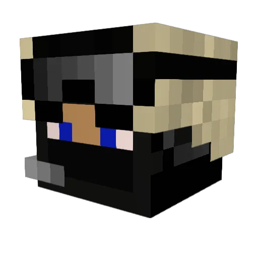 SJEJ1 Minecraft avatar head, 3D render