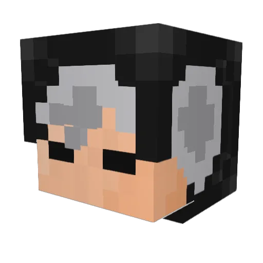 SJM_ALS_OLD Minecraft avatar head, 3D render