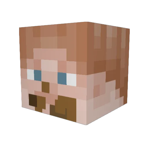 SJNhwk Minecraft avatar head, 3D render