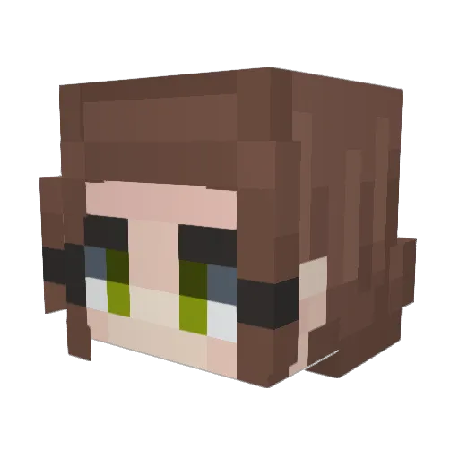 SJRbird Minecraft avatar head, 3D render