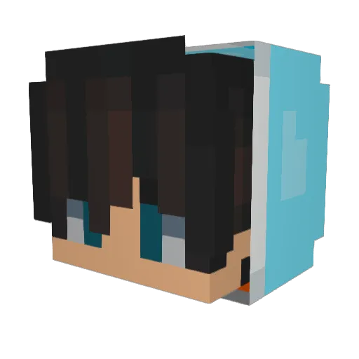 SJUNS11 Minecraft avatar head, 3D render