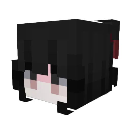 SJW_O7 Minecraft avatar head, 3D render