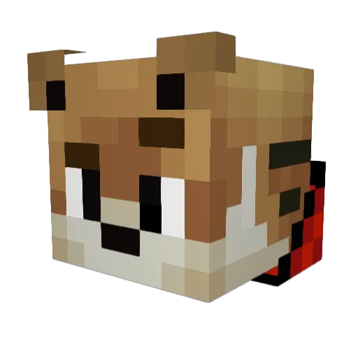 SJ_LOL Minecraft avatar head, 3D render