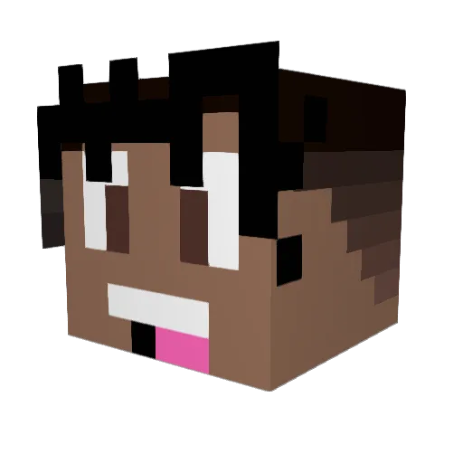 SJ_Renja Minecraft avatar head, 3D render