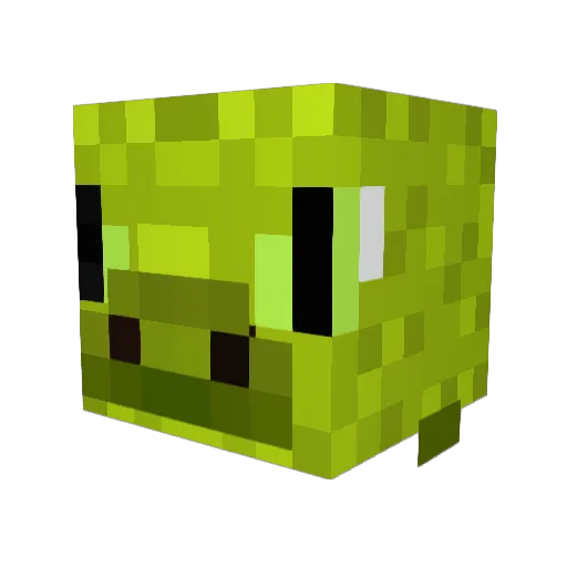 SJserious Minecraft avatar head, 3D render