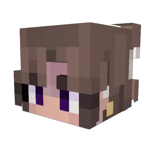 SJxyce Minecraft avatar head, 3D render