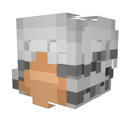 SK1P4K Minecraft avatar head, 3D render
