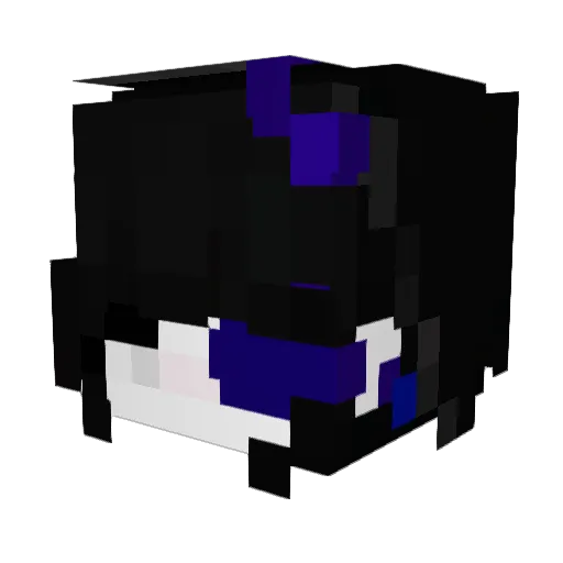 SK4N1T Minecraft avatar head, 3D render