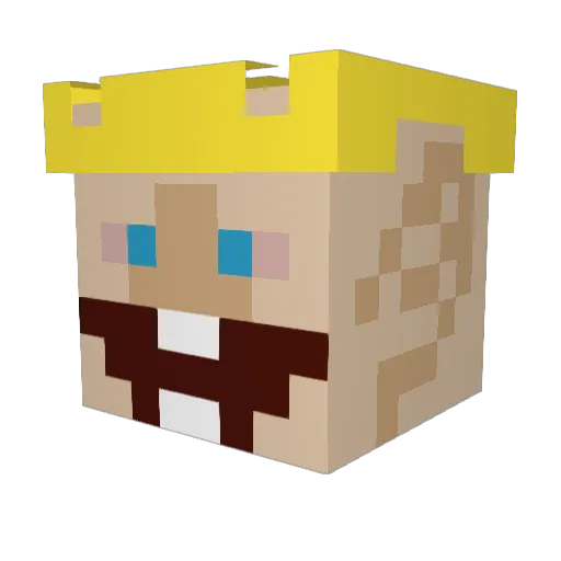 SK8ERJ03 Minecraft avatar head, 3D render