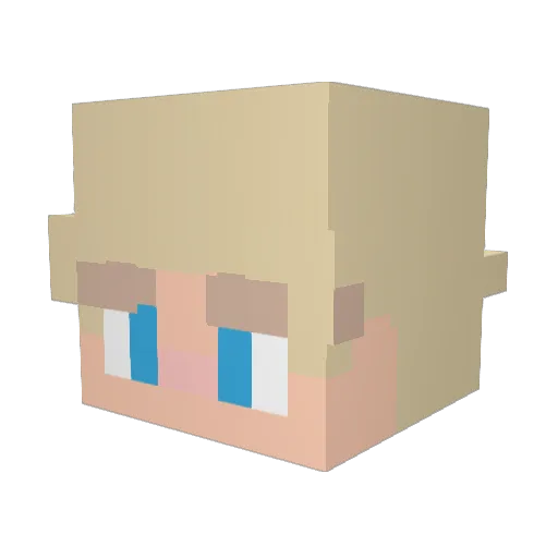 SK8PLUG Minecraft avatar head, 3D render