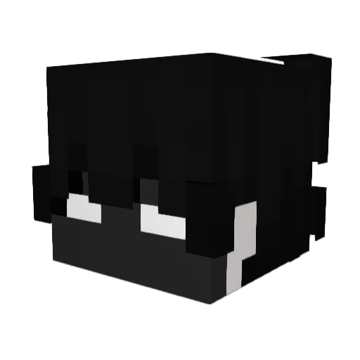 SKANT20 Minecraft avatar head, 3D render