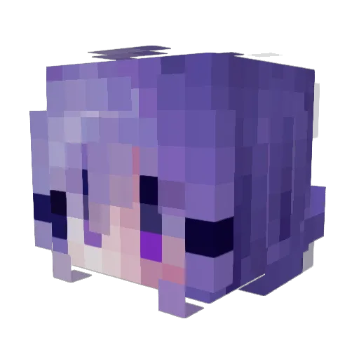 SKATERBOYD8 Minecraft avatar head, 3D render