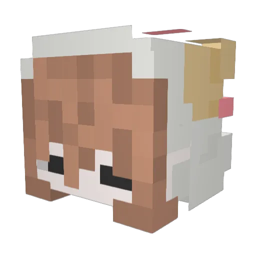 SKIBBO14 Minecraft avatar head, 3D render