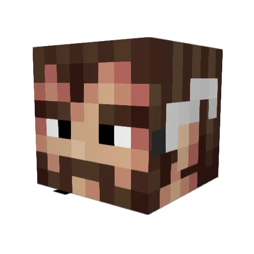 SKIIOWA Minecraft avatar head, 3D render
