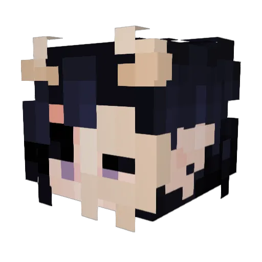 SKINndBONES Minecraft avatar head, 3D render