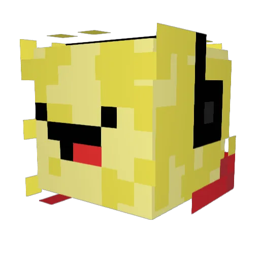 SKIPLODIPLEATUS Minecraft avatar head, 3D render