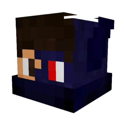 SKIPPYxKAMINAS Minecraft avatar head, 3D render