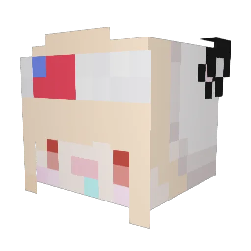 SKOOTPORKISMAYIR Minecraft avatar head, 3D render