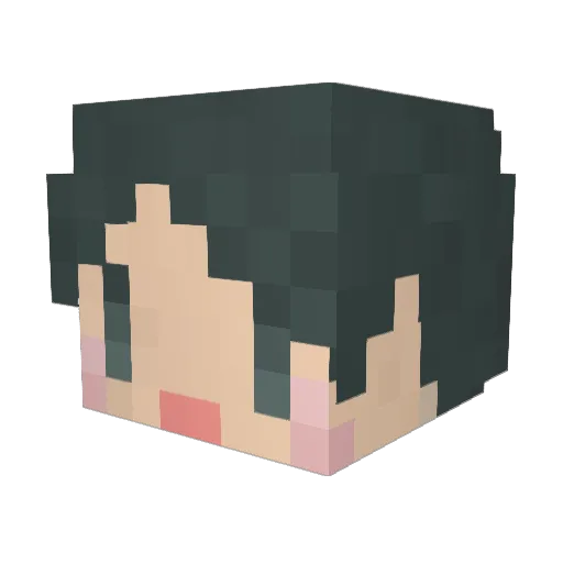 SKS_txt_Merlin Minecraft avatar head, 3D render