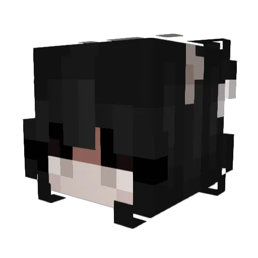SKTT1_ Minecraft avatar head, 3D render