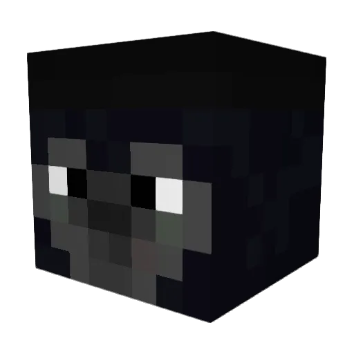 SKUNKYNUG Minecraft avatar head, 3D render
