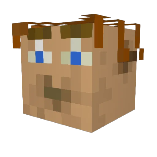 SKY04WIL Minecraft avatar head, 3D render