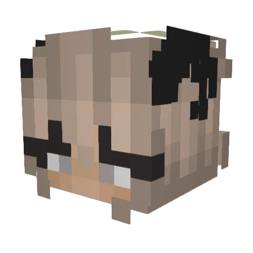 SKY2011 Minecraft avatar head, 3D render