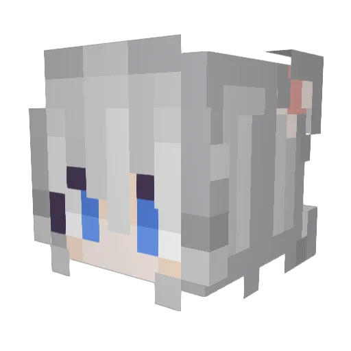 SKY806 Minecraft avatar head, 3D render