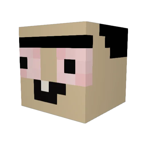 SKYBLOCK2006 Minecraft avatar head, 3D render