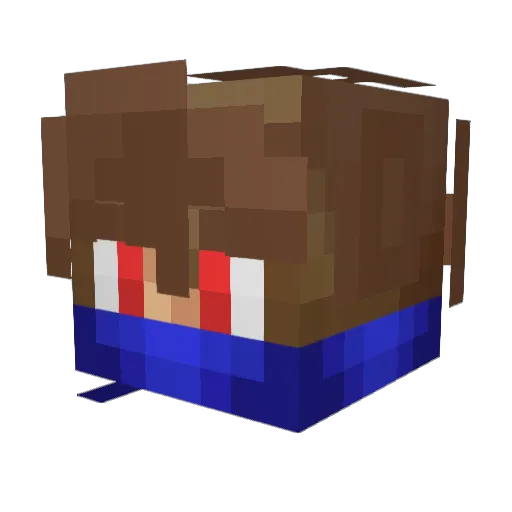 SKYBORB29 Minecraft avatar head, 3D render