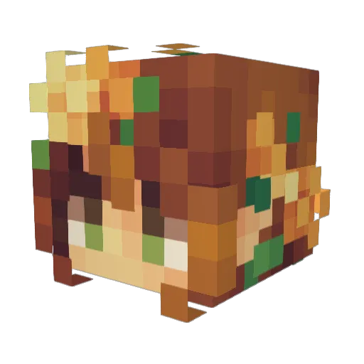 SKYLARDDDD Minecraft avatar head, 3D render