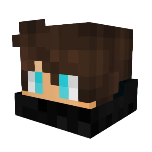 SKYLINES Minecraft avatar head, 3D render