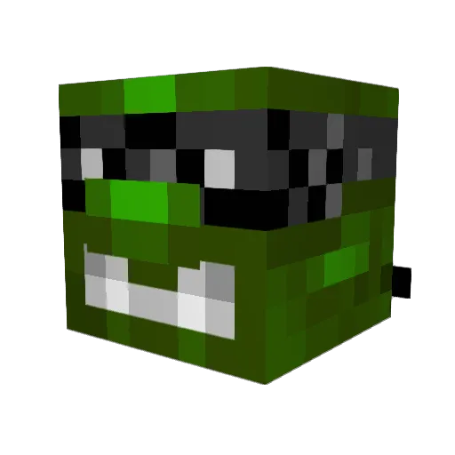 SKYTURTLE39 Minecraft avatar head, 3D render