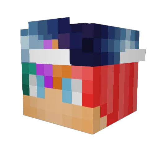 SKYWARS_BOY Minecraft avatar head, 3D render